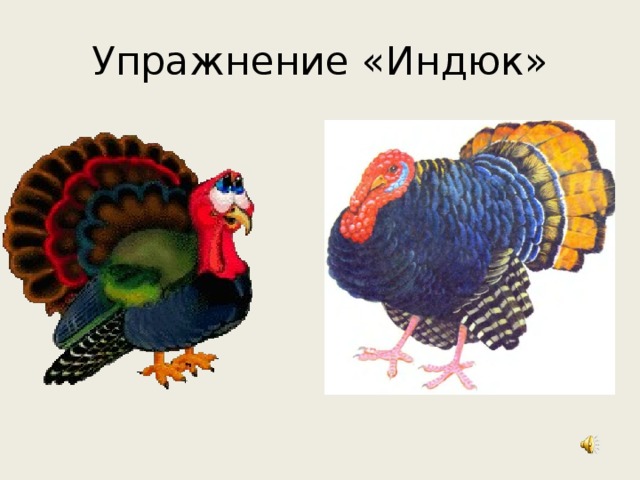 Индюк цветовая схема