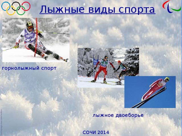 Лыжные виды спорта горнолыжный спорт лыжное двоеборье 