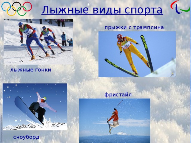Лыжные виды спорта прыжки с трамплина лыжные гонки фристайл сноуборд 