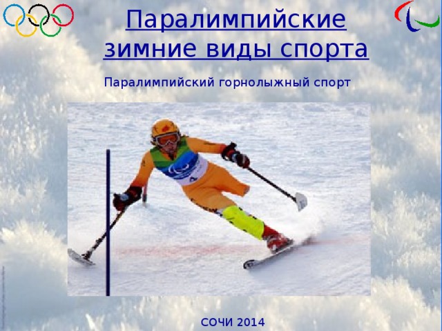 Паралимпийские зимние виды спорта Паралимпийский горнолыжный спорт 
