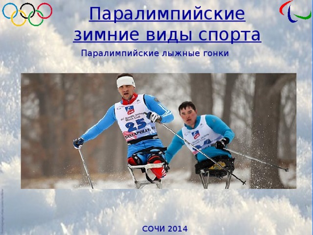 Паралимпийские зимние виды спорта Паралимпийские лыжные гонки 