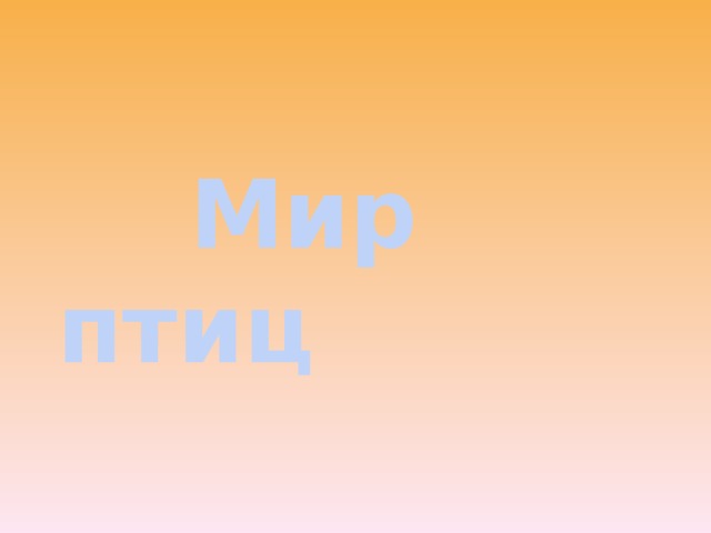  Мир птиц 