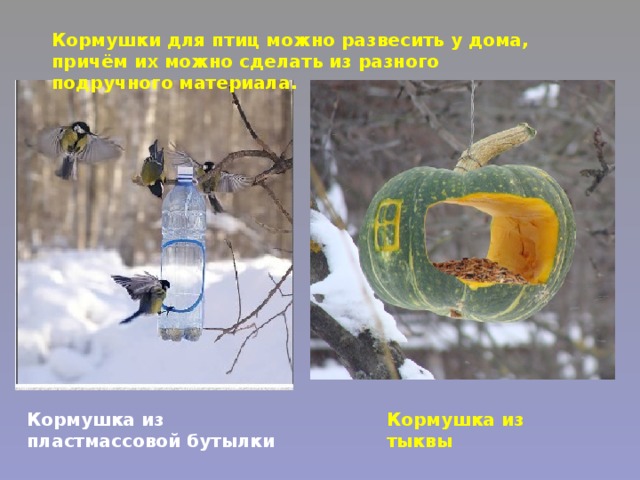 Кормушки для птиц можно развесить у дома, причём их можно сделать из разного подручного материала. Кормушка из пластмассовой бутылки Кормушка из тыквы 