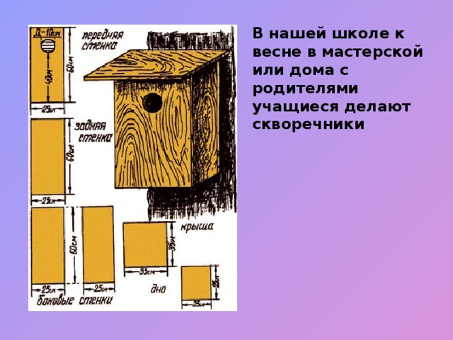 В нашей школе к весне в мастерской или дома с родителями учащиеся делают скворечники 