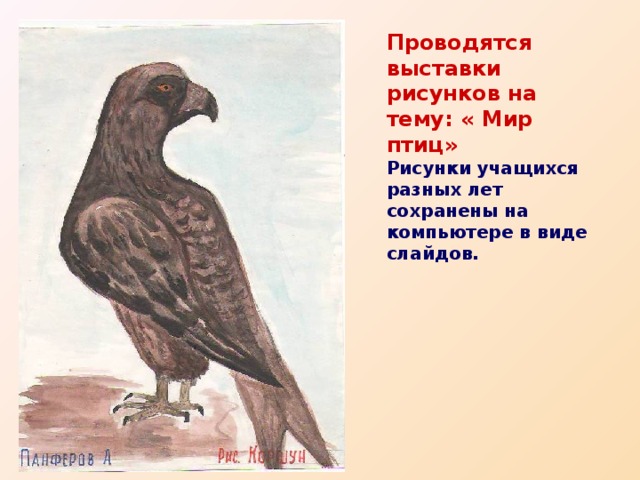Проводятся выставки рисунков на тему: « Мир птиц» Рисунки учащихся разных лет сохранены на компьютере в виде слайдов. 