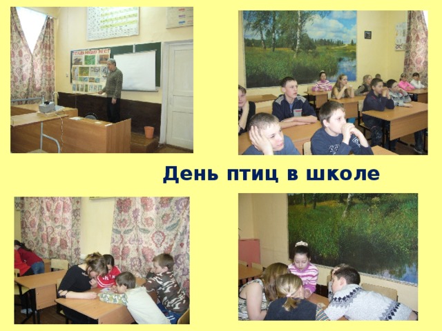  День птиц в школе 