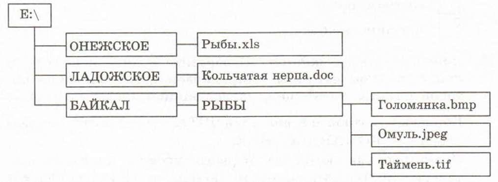 Рассмотрите рисунок сколько всего файлов хранится на диске е сколько