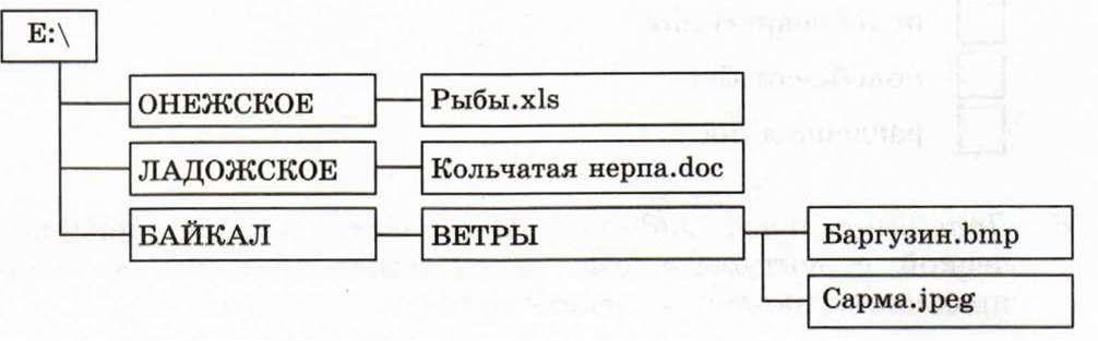 Рассмотрите рисунок ответьте на вопросы сколько всего файлов хранится на диске е