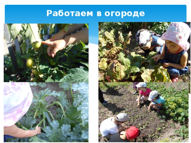 Работаем в огороде 