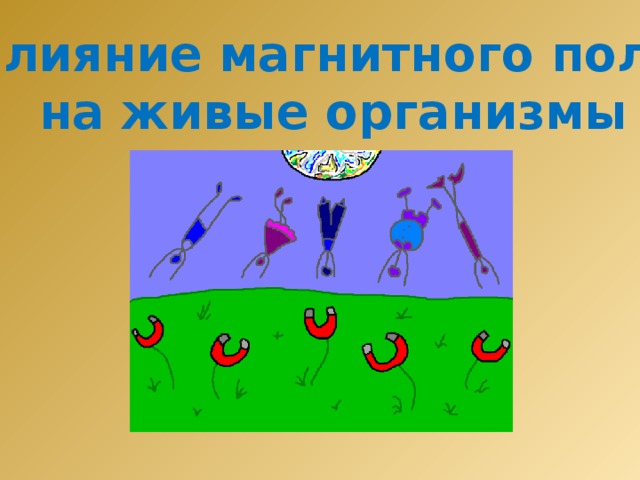 Влияние магнитного поля  на живые организмы 
