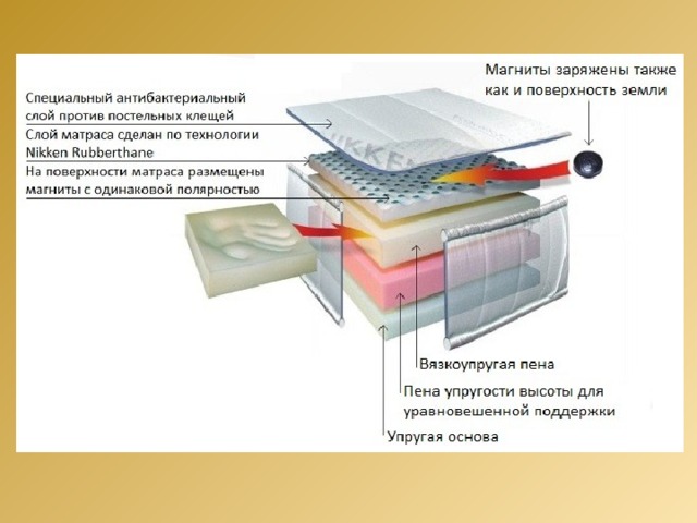 Влияние магнитного поля на живые организмы проект