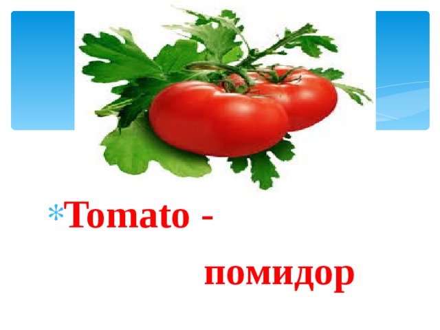 Tomato -  помидор 