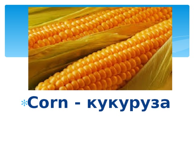 Corn - кукуруза 