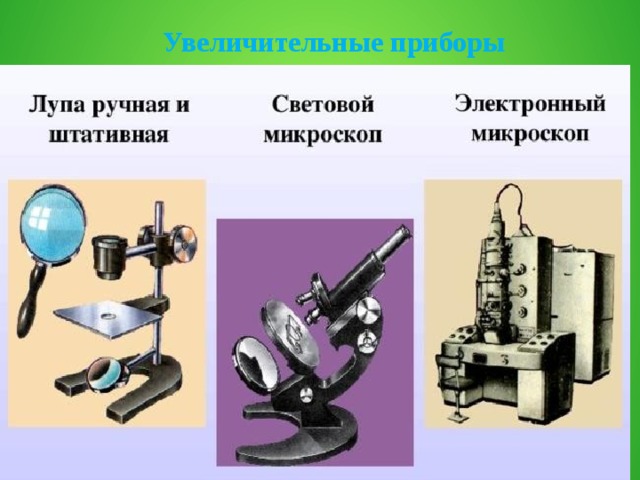 Физическое устройство. Увеличительные приборы физика. Физические приборы увеличительные приборы.. Лупа. Ручная. И. штатив. И. световой. Микроскоп. Устройство ручной лупы и светового микроскопа 5 класс.