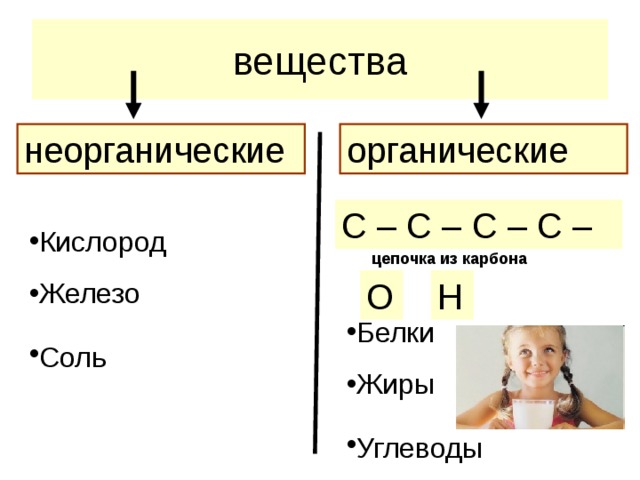 Органические и неорганические