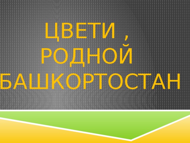 ЦВЕТИ , РОДНОЙ БАШКОРТОСТАН 