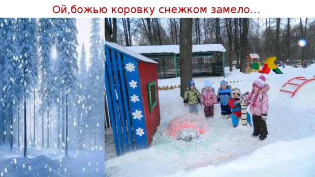 Ой,божью коровку снежком замело… 