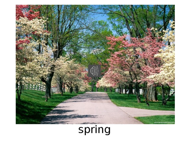 spring 