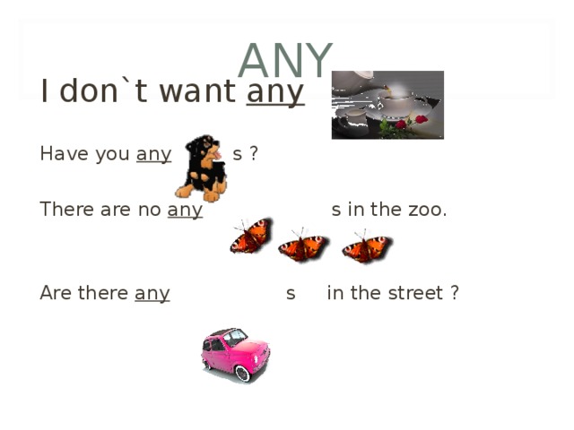 ANY I don`t want any  Have you any s ?  There are no any   s in the zoo. Are there any   s  in the street ? 