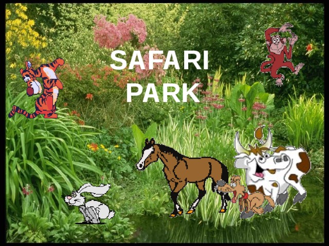 SAFARI PARK