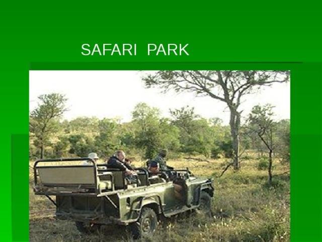 SAFARI PARK