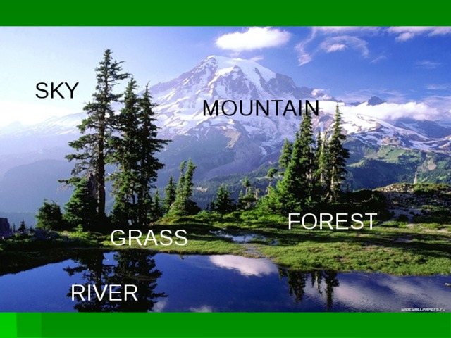 SKY MOUNTAIN FOREST GRASS RIVER