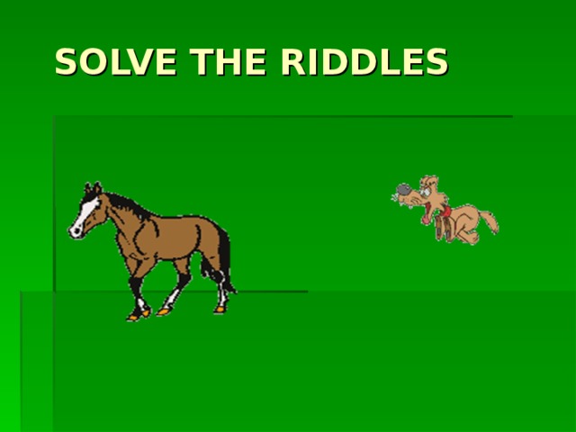 SOLVE THE RIDDLES