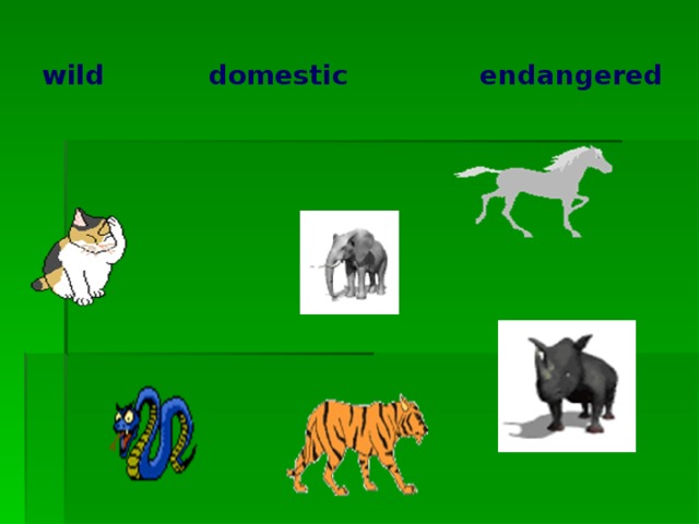 wild domestic endangered