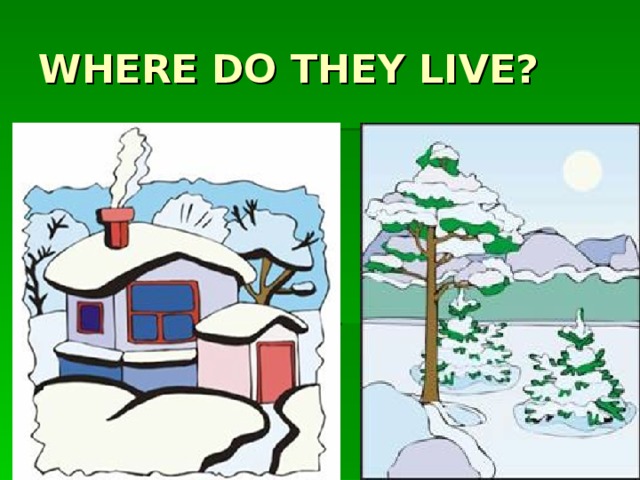 WHERE DO THEY LIVE?
