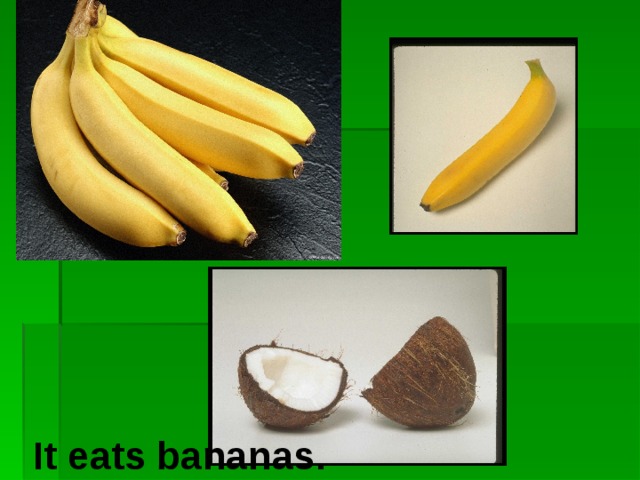 It eats bananas.