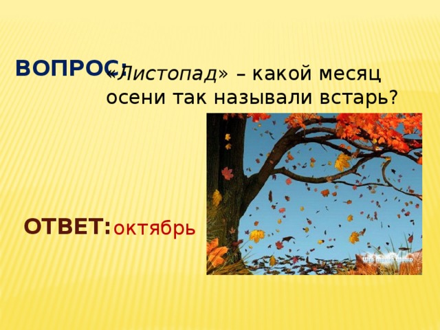 Поле ответы октябрь. Листопад какой?. Октябрь какой месяц. Сентябрь какой месяц. Листопад какая адаптация.