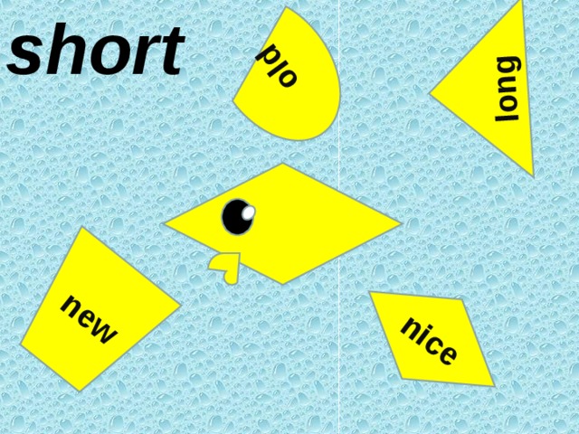 short long nice new old 