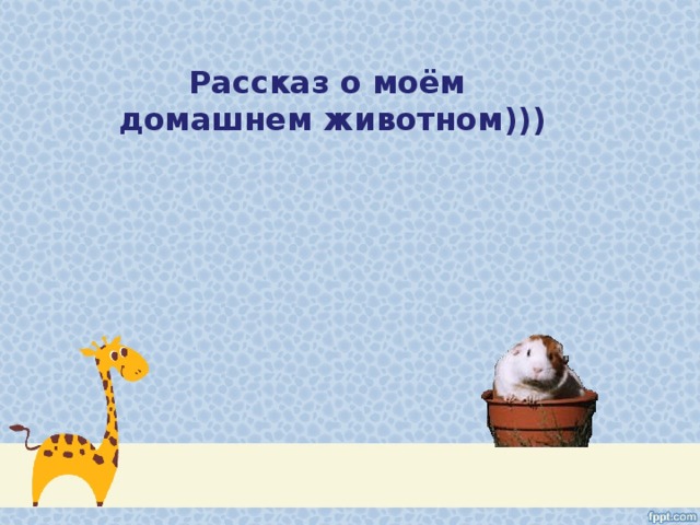 Рассказ о моём домашнем животном)))  