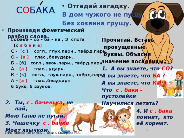 Собака разбор