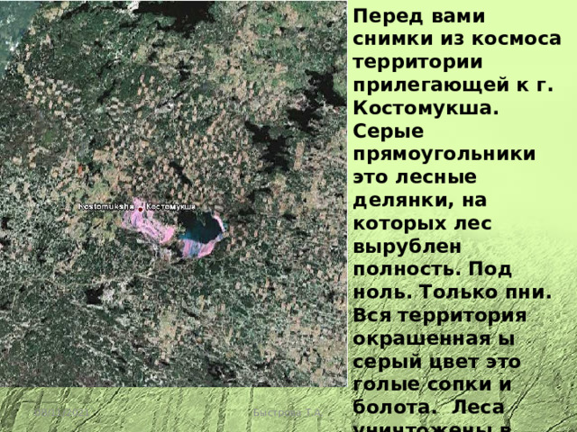 Перед вами снимки из космоса территории прилегающей к г. Костомукша. Серые прямоугольники это лесные делянки, на которых лес вырублен полность. Под ноль. Только пни. Вся территория окрашенная ы серый цвет это голые сопки и болота. Леса уничтожены в промежутке 1995 - 2010 г. 08/11/2021 Быстрова Т.А. 