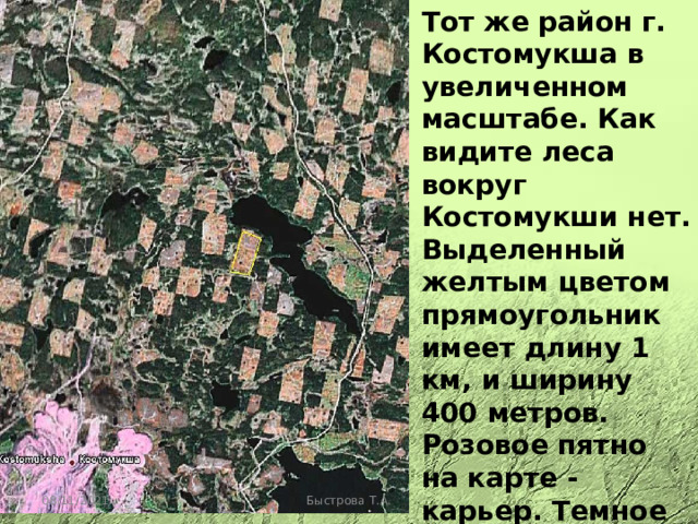 Тот же район г. Костомукша в увеличенном масштабе. Как видите леса вокруг Костомукши нет. Выделенный желтым цветом прямоугольник имеет длину 1 км, и ширину 400 метров. Розовое пятно на карте - карьер. Темное в середине - озеро. 08/11/2021 Быстрова Т.А. 
