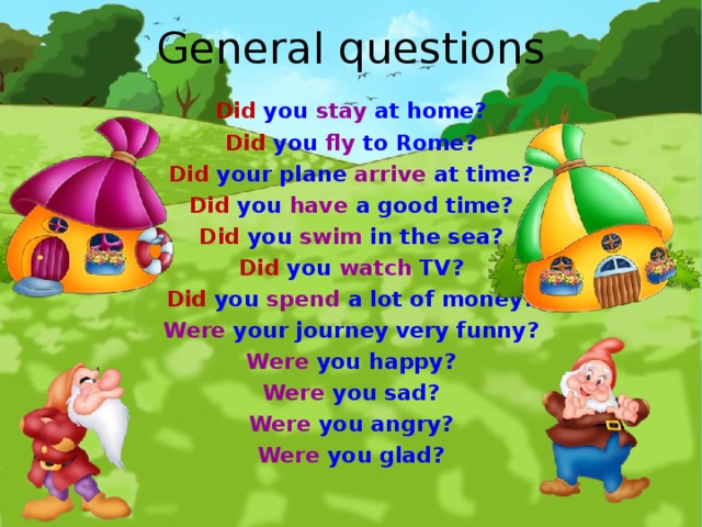 General questions Did you stay at home? Did you fly to Rome? Did your plane arrive at time? Did you have a good time? Did you swim in the sea? Did you watch TV? Did you spend a lot of money? Were your journey very funny? Were you happy? Were you sad? Were you angry? Were you glad?  