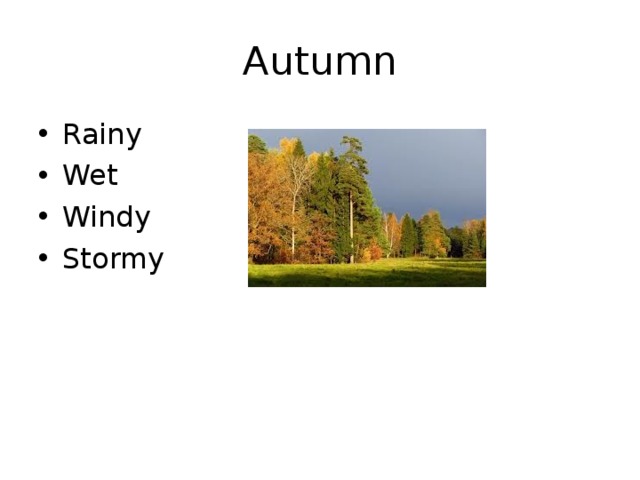 Autumn Rainy Wet Windy Stormy 