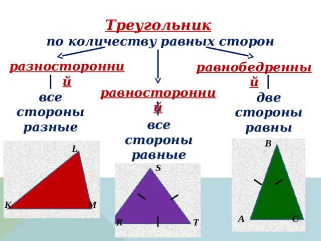 Треугольник  по количеству равных сторон разносторонний равнобедренный равносторонний все стороны разные две стороны равны все стороны равные B L S M K C A R T 