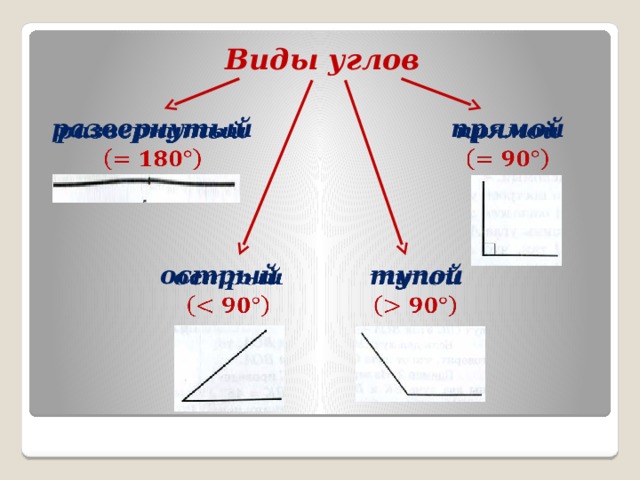 Виды углов развернутый   прямой         острый тупой  