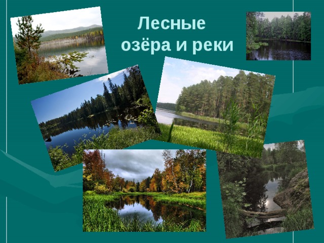  Лесные  озёра и реки 