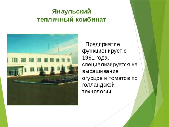 Янаульский тепличный комбинат  Предприятие функционирует с 1991 года, специализируется на выращивание огурцов и томатов по голландской технологии 