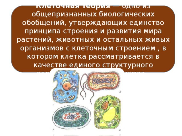 Рассмотрите клетки организмов представленные на рисунке установите каким организмам принадлежит