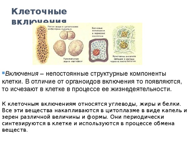 Изображенный на рисунке органоид обеспечивающий быстрое продвижение веществ в клетке представляет