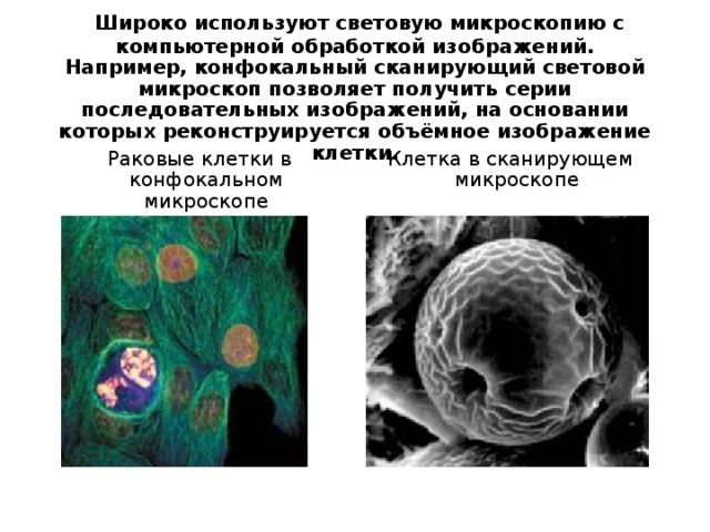 Экг с компьютерной обработкой и обычное экг в чем отличия