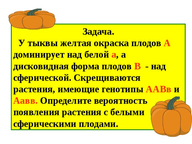 У тыквы дисковидная форма плода доминирует над …