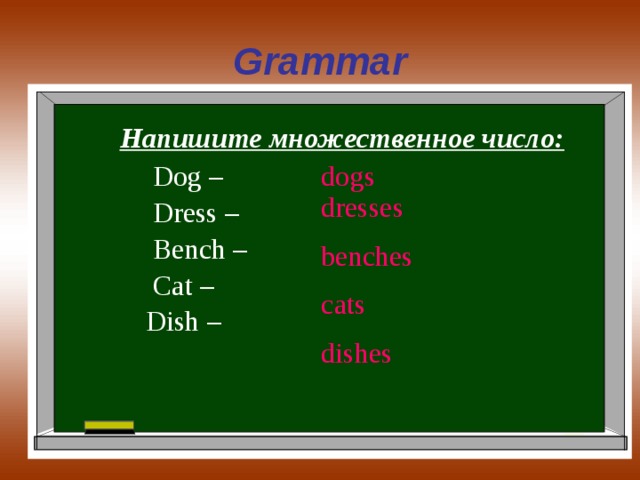 Grammar  Напишите множественное число:  Dog –  Dress –  Bench –  Cat –  Dish – dogs dresses benches cats dishes 