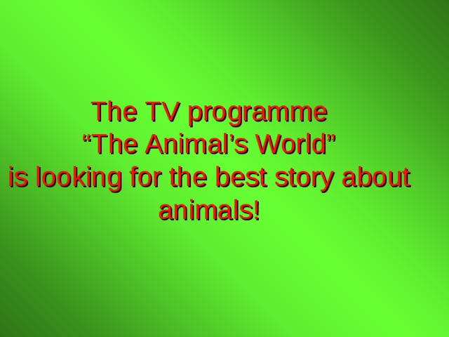 The TV programme  “The Animal’s World”  is looking for the best story about animals! 