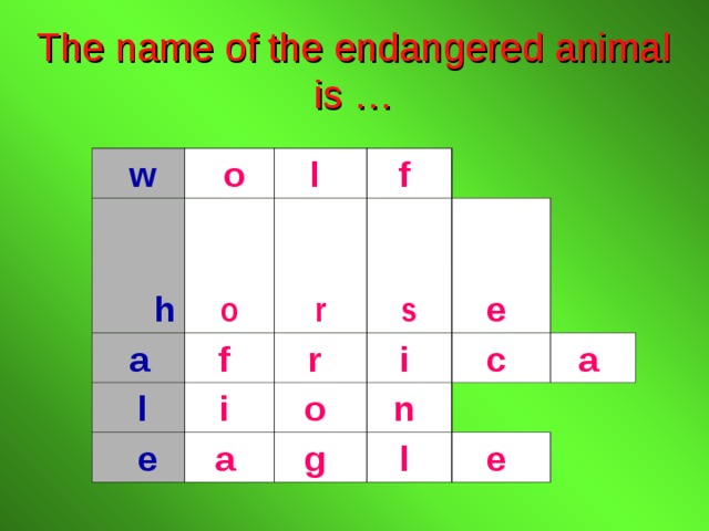 The name of the endangered animal is …  w    o  h o l   a   l f  r f  s i    e r  i  o  e  a  n  c  g  a  l  e  