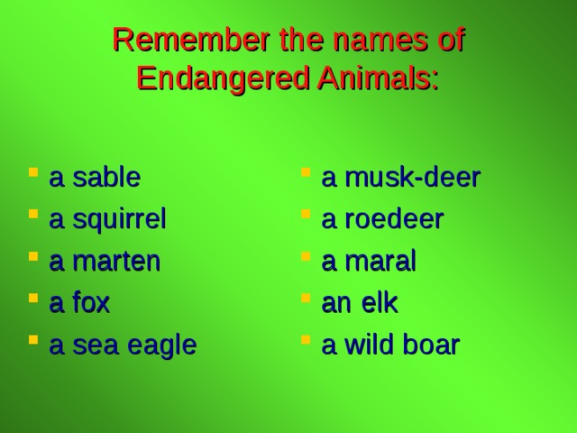 Remember the names of Endangered Animals: a sable a squirrel a marten a fox a sea eagle a musk-deer a roedeer a maral an elk a wild boar 